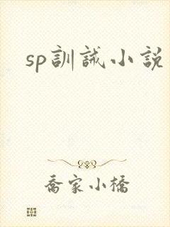sp训诫小说