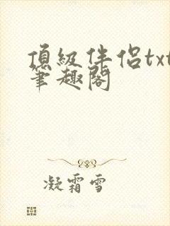 顶级伴侣txt笔趣阁封面