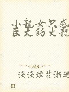 小龙女只感觉那巨大的火龙枪