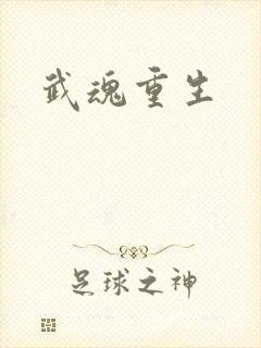 武魂重生封面