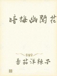 暗梅幽闻花封面