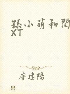 孙小萌和闫辰TXT封面