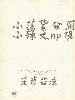 小荡货公厕h文小辣文np视频