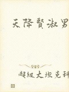 天降贤淑男小说封面