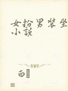 女扮男装坐江山小说