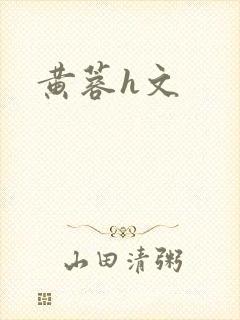 黄蓉h文封面