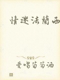 情迷法兰西封面