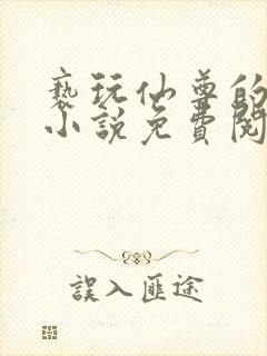 亵玩仙尊的道侣小说免费阅读