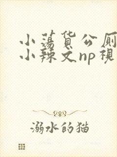 小荡货公厕h文小辣文np视频