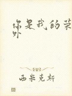 你是我的荣耀番外