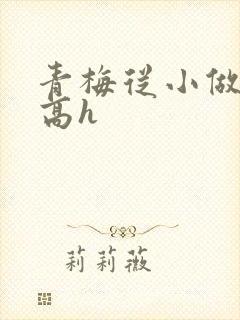 青梅从小做到大高h