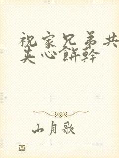 祝家兄弟共享后夹心饼干