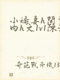 小娇妻h开荤粗肉h文1v1陈浩