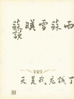 苏映雪苏雨柔小说