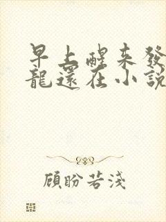 早上醒来发现巨龙还在小说