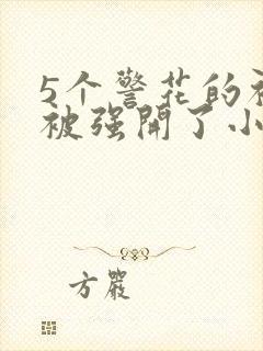 5个警花的初苞被强开了小说