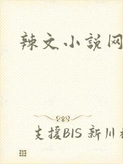 辣文小说网