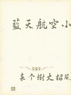 蓝天航空小说