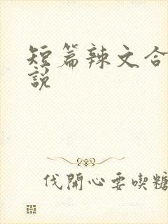 短篇辣文合集小说