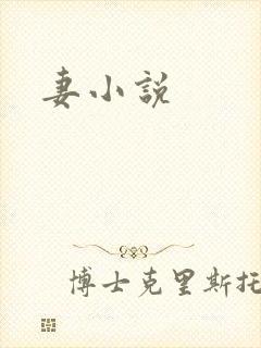 妻小说