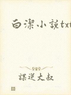 白洁小说txt