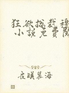 狂欲总裁穆非雪 小说免费阅读封面