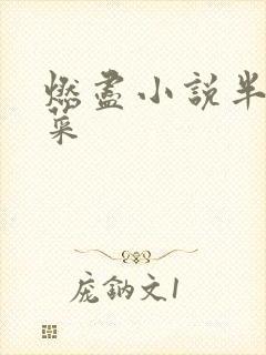 燃尽小说半截白菜封面