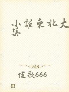 小说东北大炕全集