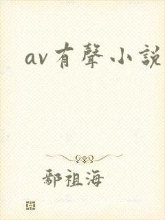 av有声小说