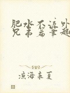 肥水不流外人田兄弟篇笔趣阁小说封面