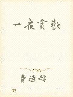 一夜贪欢封面