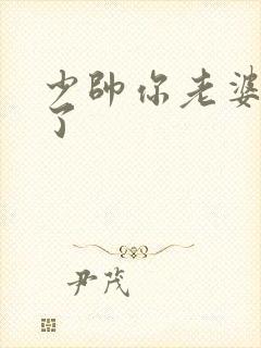 少帅你老婆又跑了