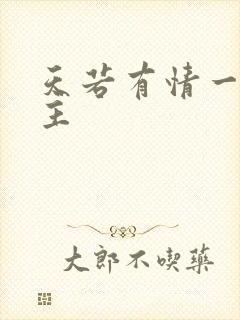 天若有情一家之主封面