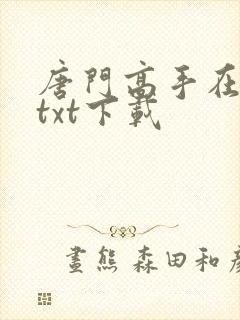 唐门高手在异世txt下载封面