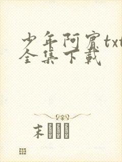 少年阿宾txt全集下载