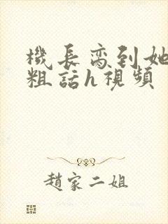 机长脔到她哭h粗话h视频