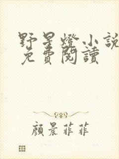 野星灯小说全文免费阅读