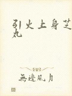 引火上身芝麻糖丸