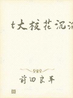 t大校花沉沦