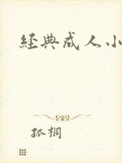 经典成人小说封面