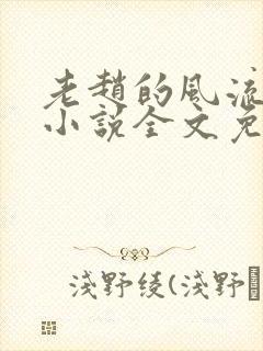 老赵的风流人生小说全文免费阅读