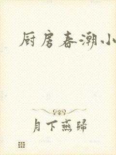 厨房春潮小说