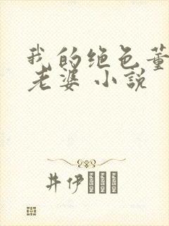 我的绝色董事长老婆 小说封面