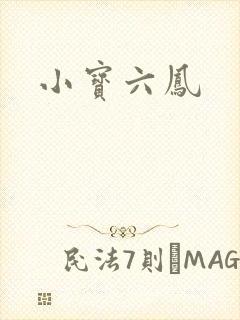 小宝六凤