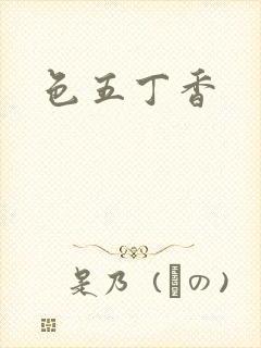 色五丁香封面