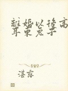 离婚以后高干 耳东兔子