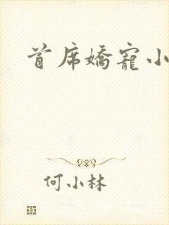 首席娇宠小情人封面