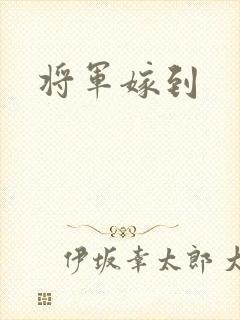 将军嫁到