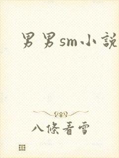 男男sm小说封面
