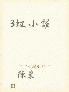 3级小说